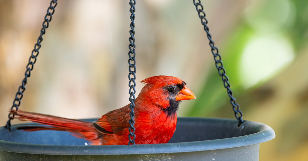 recevez les dernières alertes en france : actualités, sécurité et informations importantes en temps réel. restez informé et protégé grâce à fr alert.