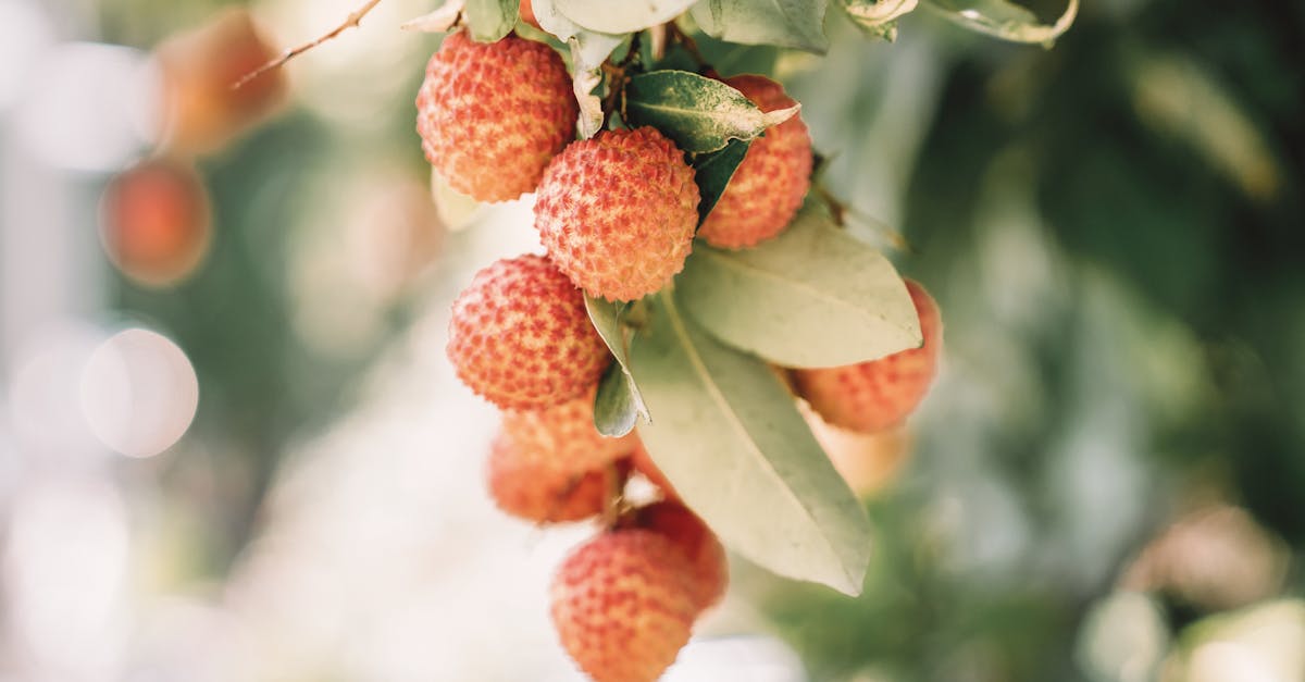 gmx : service de messagerie gratuit et sécurisé avec boîte mail fiable, anti-spam puissant, alias et applis mobiles. inscrivez-vous dès aujourd'hui.