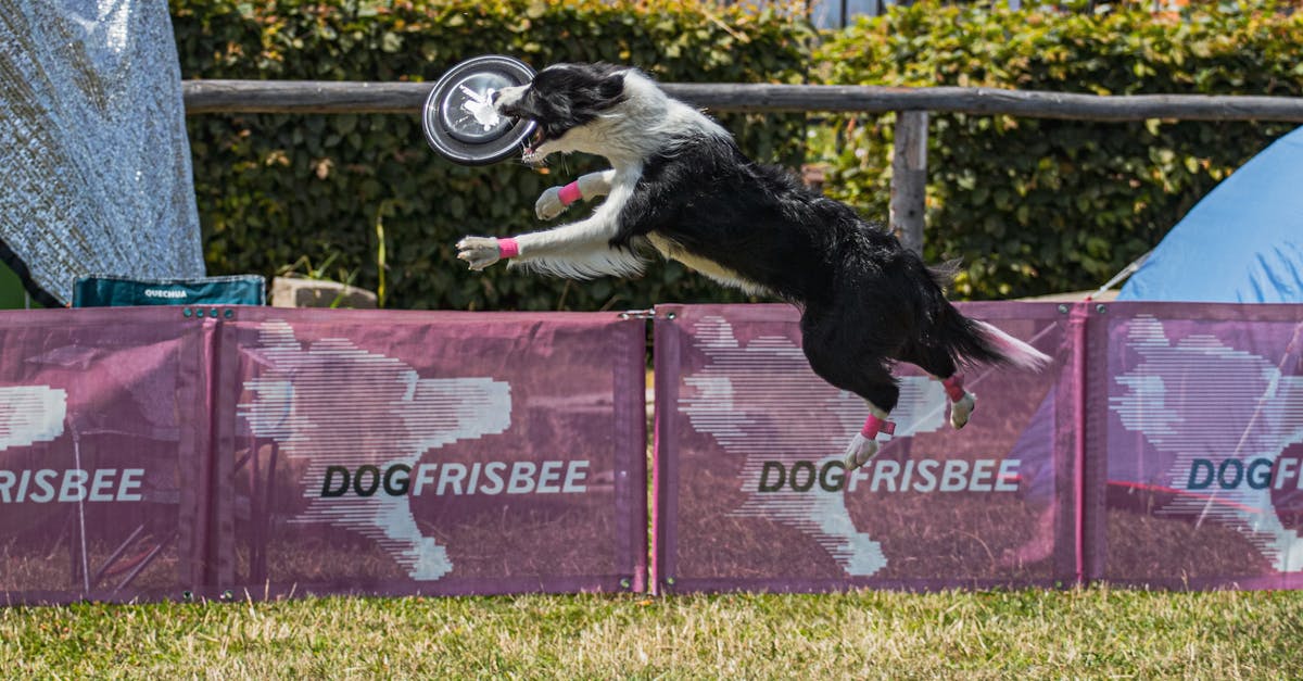 découvrez les résultats en direct des événements sportifs ! suivez vos équipes et athlètes préférés et restez informé des dernières performances à chaque instant.