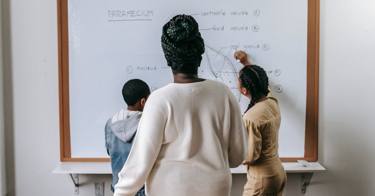 découvrez ce qu'est le schooling, ses méthodes et ses avantages pour accompagner l'apprentissage des enfants. conseils, ressources et bonnes pratiques pour une scolarisation réussie.