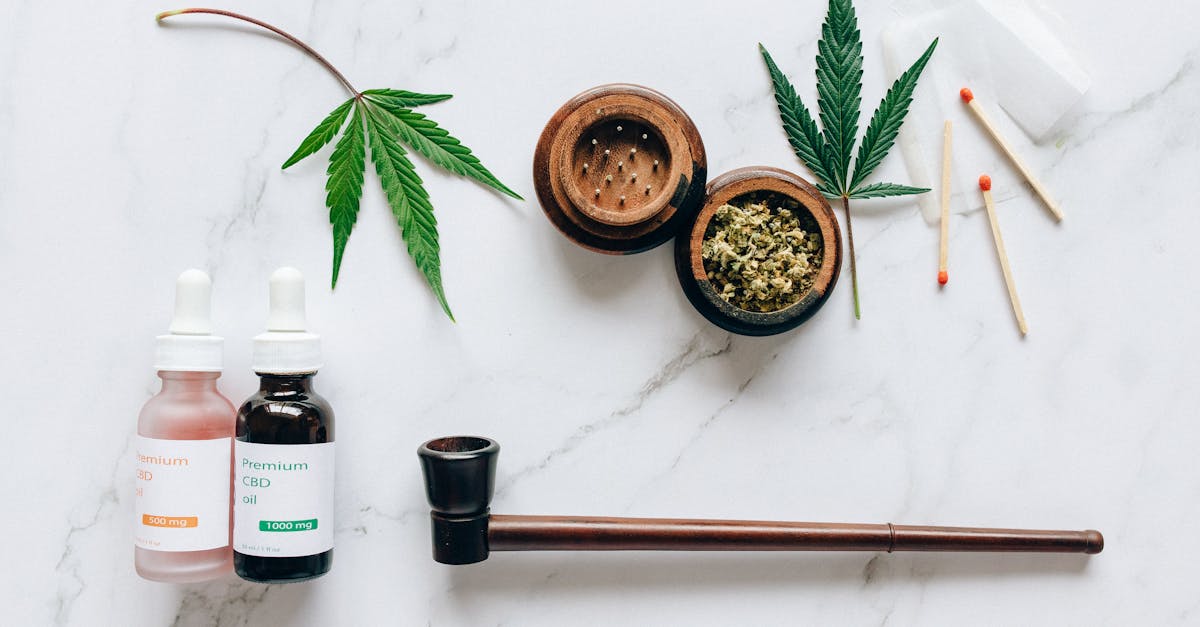 obtenez votre extrait kbis rapidement et facilement, le document officiel indispensable pour prouver l'existence juridique de votre entreprise en france.